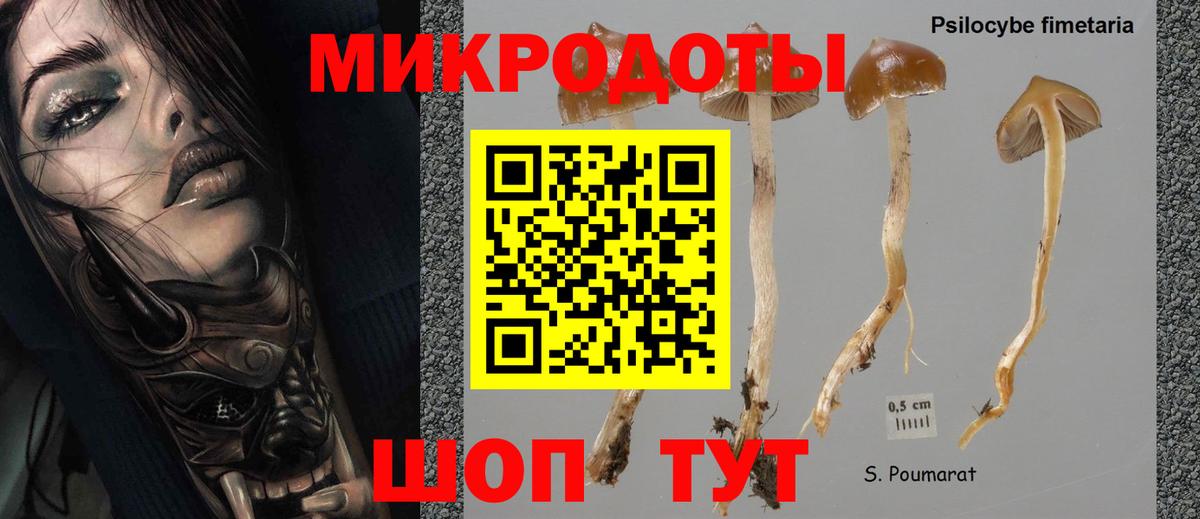 Галлюциногенные грибы Magic Shrooms Кемерово